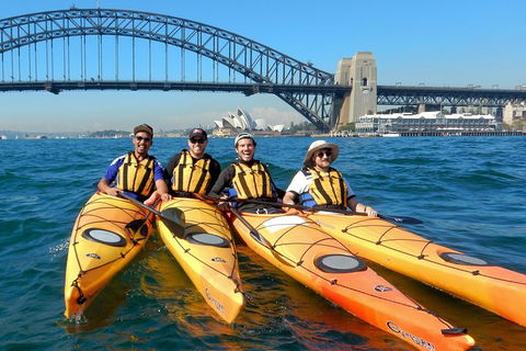 Kayak To Goat Island In Sydney Harbour With Local - Broome Tourism 5