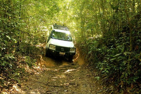 Barron Gorge And Kuranda National Park Half Day Rainforest And Waterfall 4WD Tour From Cairns - Broome Tourism 2