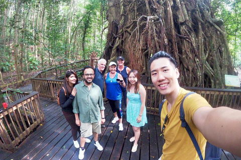 Barron Gorge And Kuranda National Park Half Day Rainforest And Waterfall 4WD Tour From Cairns - Broome Tourism 5