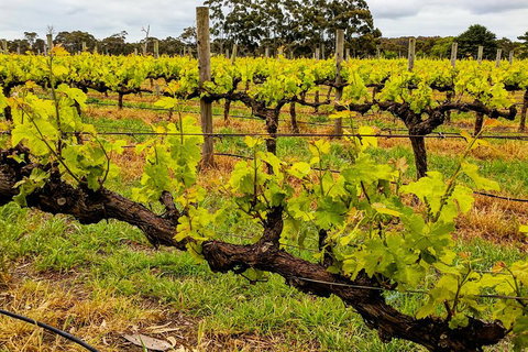 Margaret River Indulge And Discover Day Tour - Broome Tourism 5