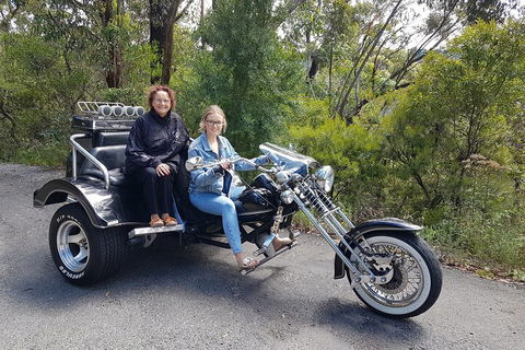 Blue Mountains 1-Hour Trike Tour Of Three Sisters - Broome Tourism 1
