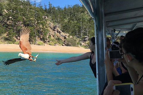 Aquascene Magnetic Island Discovery Tour - Broome Tourism 2