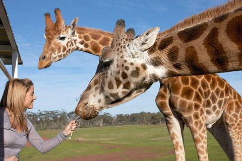 Melbourne City Card (2 Days): Visit Unlimited Attractions! - Broome Tourism 1