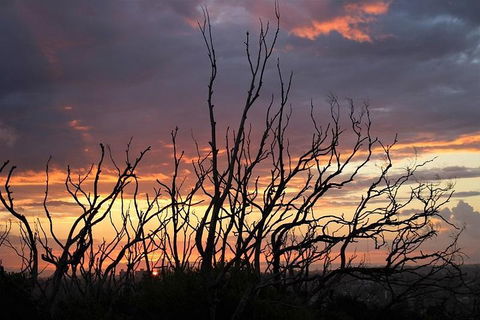 Sydney Harbour, Northern Beaches And National Park - Broome Tourism 4