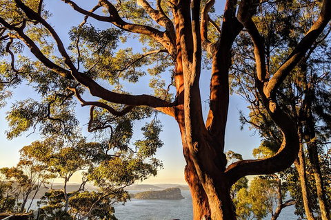 Manly & Sydney's Northern Beaches With 'Personalised Sydney Tours' - Broome Tourism 4