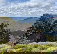 Blue Mountains Private Tour - wild kangaroos waterfalls and The Three Sisters - Broome Tourism