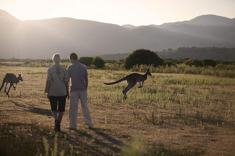 Overnight Daylesford And Macedon Ranges Gourmet Food Trail Tour From Melbourne - Broome Tourism 1