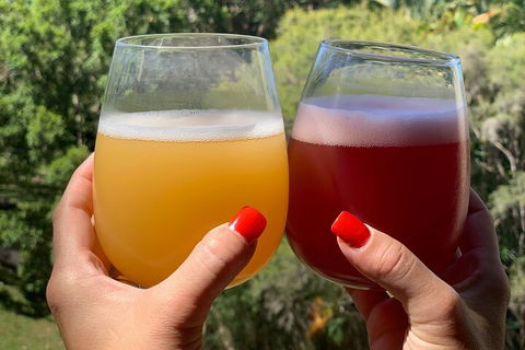 Hipster Sipster Brewery And Distillery Tour - Broome Tourism 3