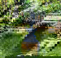 Discover Sydney - Botanic - Broome Tourism