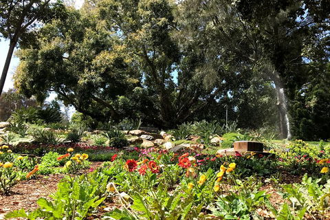 Discover Sydney - Botanic - Broome Tourism 3