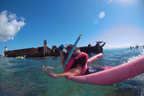 All Inclusive Dolphin And Tangalooma Wrecks Cruise - Broome Tourism 2