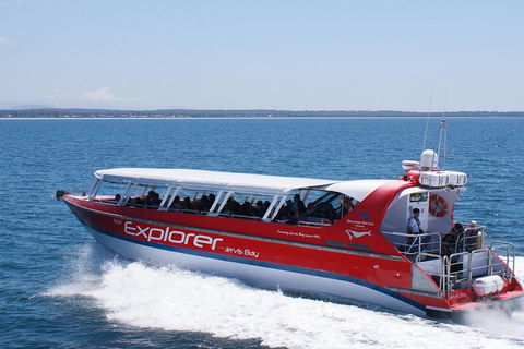 Whale Watching Jervis Bay - Broome Tourism 1