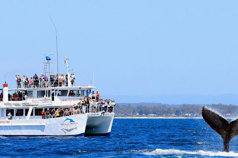 Whale Watching Jervis Bay - Broome Tourism 4
