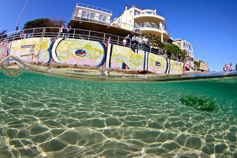 Bondi Like A Local: Half-Day Sightseeing Tour Including Surf Lesson - Broome Tourism 4