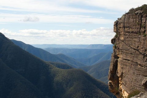 Inside The Greater Blue Mountains World Heritage - A Private Wildlife Safari Overnight - Broome Tourism 4