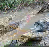 Top End Waterfalls and Wetlands - Broome Tourism