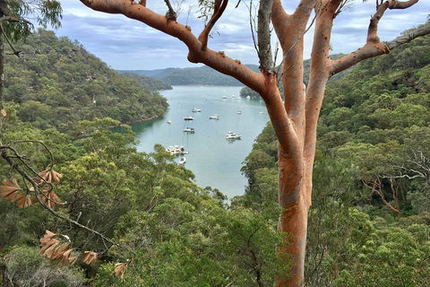 Shore Excursion: Sydney's Northern Beaches & Ku-ring-gai National Park Bus Tour - Broome Tourism 1