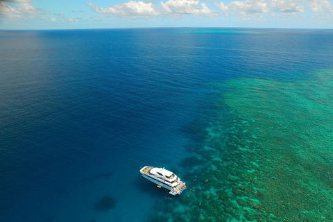Great Barrier Reef Snorkeling And Diving Cruise From Cairns - Broome Tourism 4