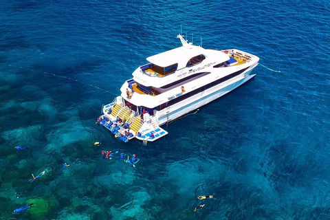 Great Barrier Reef Snorkeling And Diving Cruise From Cairns - Broome Tourism 5