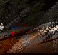 Alice Springs Desert Park Nocturnal Tour - Broome Tourism