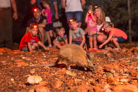 Alice Springs Desert Park Nocturnal Tour - Broome Tourism 1