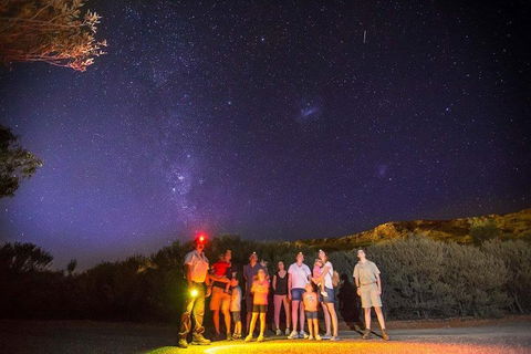 Alice Springs Desert Park Nocturnal Tour - Broome Tourism 2