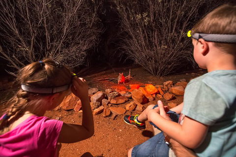 Alice Springs Desert Park Nocturnal Tour - Broome Tourism 4