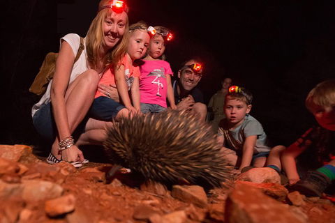 Alice Springs Desert Park Nocturnal Tour - Broome Tourism 5