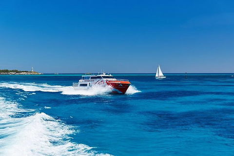Rottnest Island Round-Trip Ferry From Perth Or Fremantle - Broome Tourism 4
