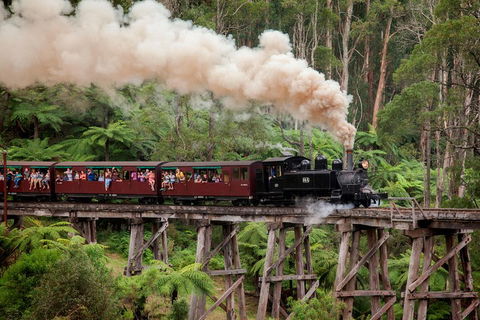 Melbourne Combo: Great Ocean Road, Puffing Billy, Moonlit Sanctuary & Penguins - Broome Tourism 1