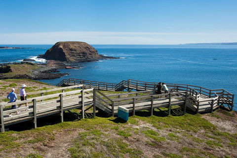 Melbourne Combo: Great Ocean Road, Puffing Billy, Moonlit Sanctuary & Penguins - Broome Tourism 5