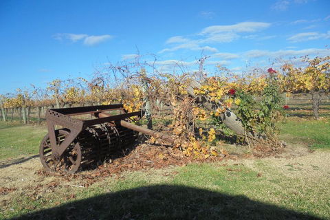 Swan Valley Tour From Perth: Wine, Beer And Chocolate Tastings - Broome Tourism 3