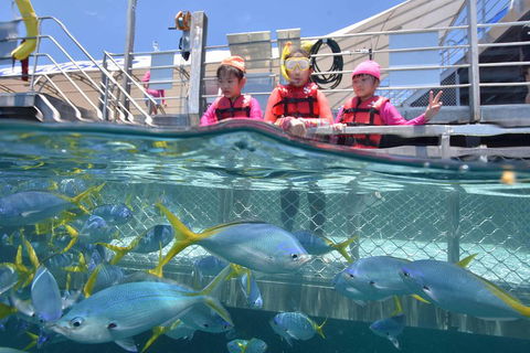 Outer Reef Pontoon Experience From Cairns - Broome Tourism 0
