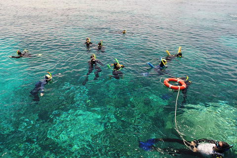 Seastar Luxury Outer Great Barrier Reef Island And Reef Tour From Cairns - Broome Tourism 2