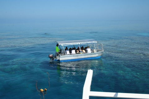 Seastar Luxury Outer Great Barrier Reef Island And Reef Tour From Cairns - Broome Tourism 5