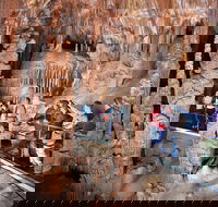 Blue Mountains Private Tour from Sydney with Jenolan Caves - Broome Tourism
