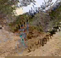 Mount Lofty Descent Bike Tour from Adelaide - Broome Tourism