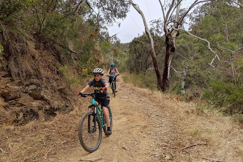 Mount Lofty Descent Bike Tour From Adelaide - Broome Tourism 0