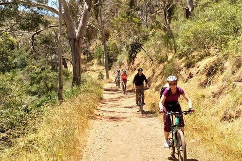 Mount Lofty Descent Bike Tour From Adelaide - Broome Tourism 3