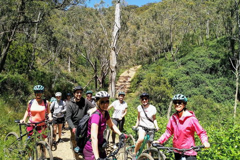 Mount Lofty Descent Bike Tour From Adelaide - Broome Tourism 5