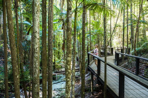All-Inclusive Fraser Island Day Tour - Broome Tourism 5