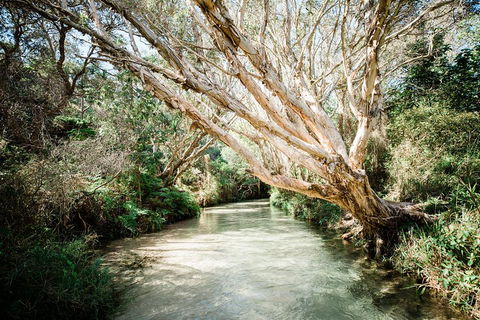 3-Day Fraser Island Resort Package - Broome Tourism 5