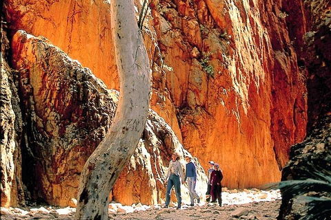 West MacDonnell Ranges Day Trip From Alice Springs - Broome Tourism 3