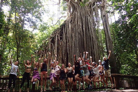 Atherton Tablelands Waterfalls Tour From Cairns - Broome Tourism 5