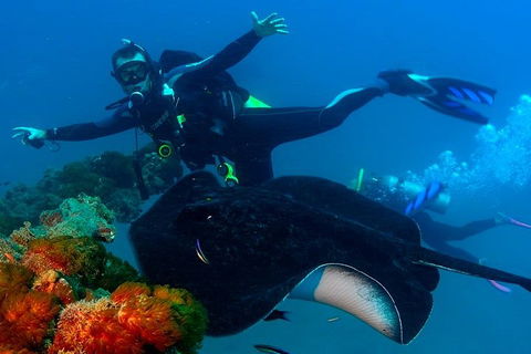 Scuba Dive The S.S. Yongala Wreck On The Great Barrier Reef. - Broome Tourism 0
