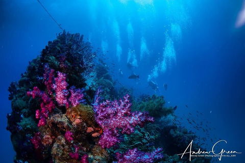 Scuba Dive The S.S. Yongala Wreck On The Great Barrier Reef. - Broome Tourism 2