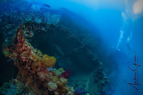 Scuba Dive The S.S. Yongala Wreck On The Great Barrier Reef. - Broome Tourism 3