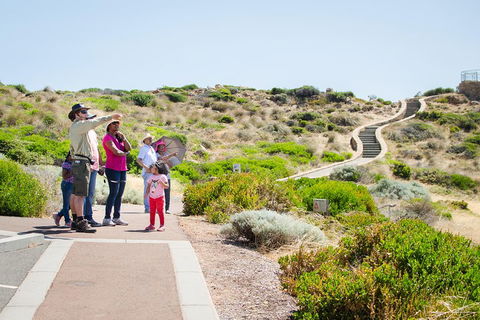 Margaret River Coastal And Wildlife Eco Trip From Busselton Or Dunsborough - Broome Tourism 0