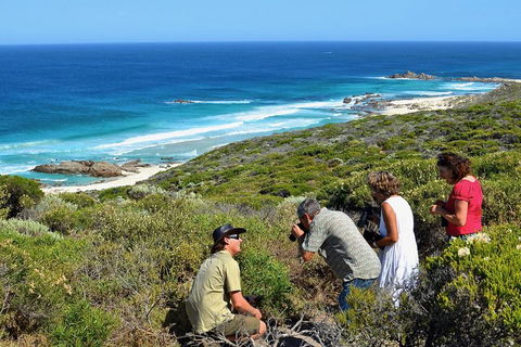 Margaret River Coastal And Wildlife Eco Trip From Busselton Or Dunsborough - Broome Tourism 2