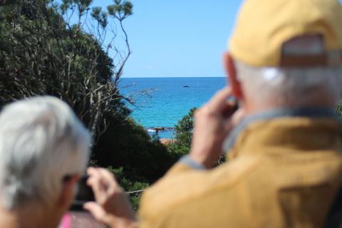 Margaret River Coastal And Wildlife Eco Trip From Busselton Or Dunsborough - Broome Tourism 5